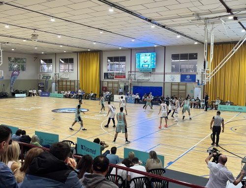 Palmer Basket Mallorca: Un Ascenso Celebrado Juntos